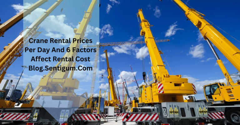 Crane Rental Prices Per Day And 6 Factors Affect Rental Cost Blog.Sentigum.Com